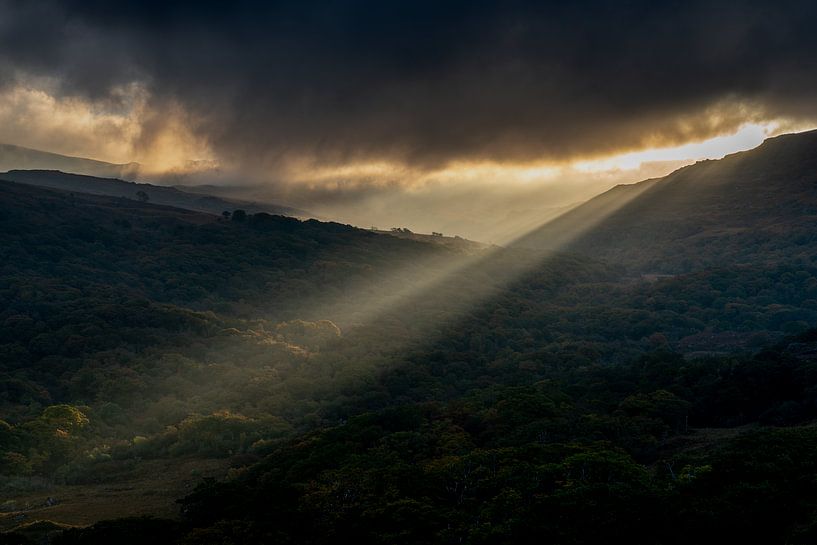 Ansicht der Damen von Paul van der Zwan