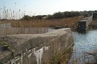 Landscape - The Netherlands 3