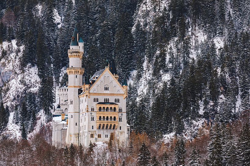 Schloss Neuschwanstein, Allgäu, Bayern, Deutschland von Henk Meijer Photography
