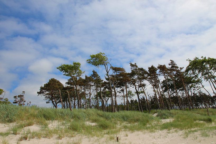 Sur le bord ouest par Ostsee Bilder