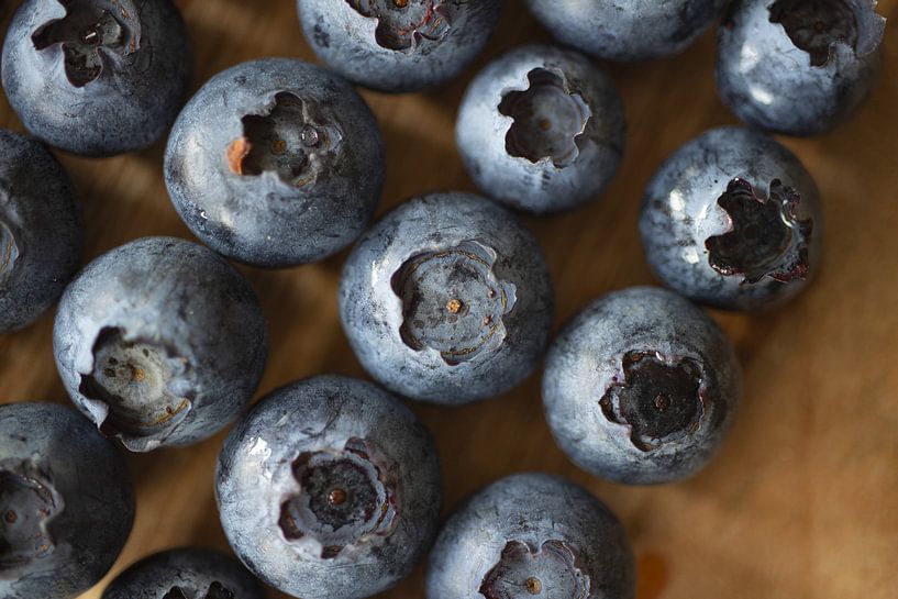 Blueberry by SuparDisign