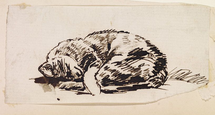 Study of a sleeping cat - William Holman Hunt van Mooie Meesters