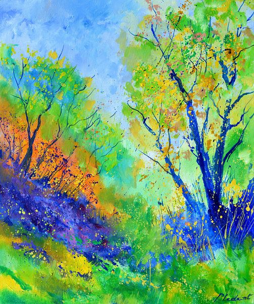 Colourful wood par pol ledent