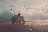 die Fahrt deines Lebens";