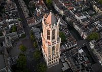Der Dom zu Utrecht im goldenen Morgenlicht