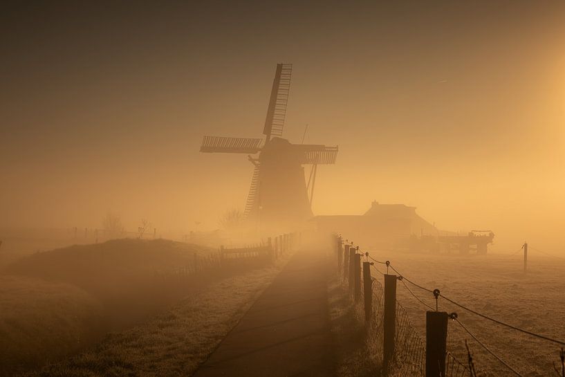 Goldene Morgenstille bei der Mühle Koningslaagte in der Landschaft von KB Design & Photography (Karen Brouwer)