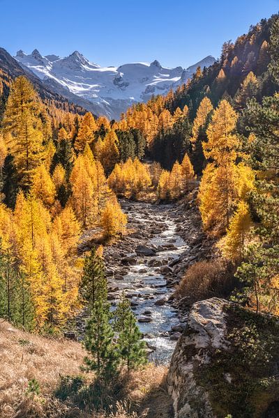 Goldener Herbst im Engadin von Achim Thomae Photography