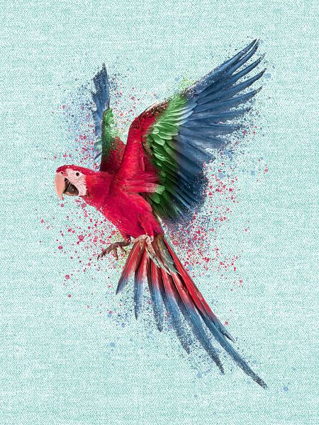 Ara Papagei Aquarell Malerei auf Aqua von Mad Dog Art