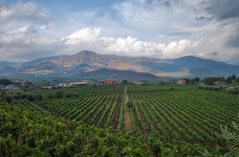 Winery at the foot of Mount Etna by Esther Seijmonsbergen