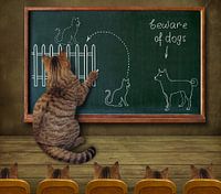 Cat teacher and his pupils... :)