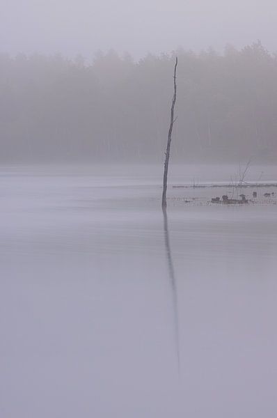 Dwingelderveld - Drenthe (Pays-Bas) par Marcel Kerdijk