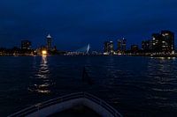 Rotterdam de nuit