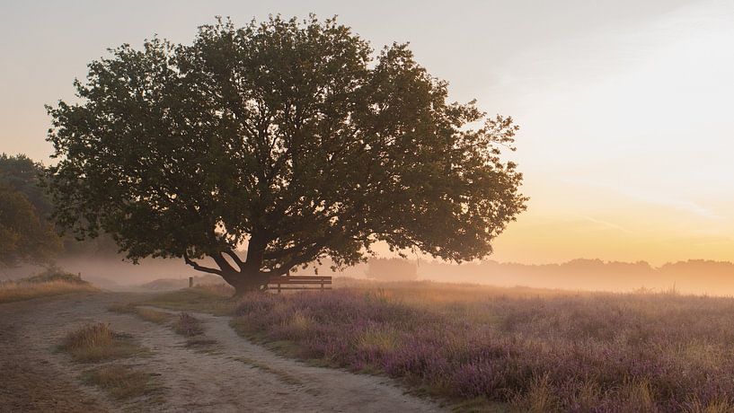 Lonelymorning 2 by Maaike Munniksma