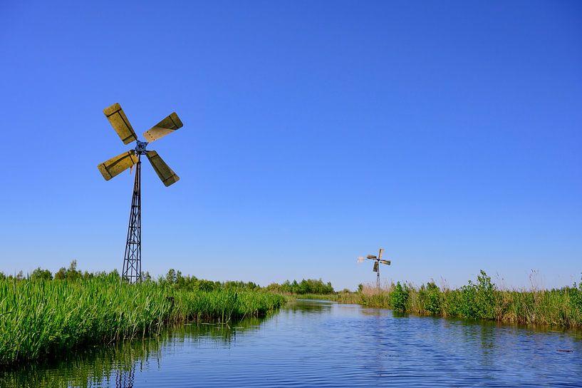 Weerribben-Wieden nature reserve in Overijssel by Sjoerd van der Wal Photography