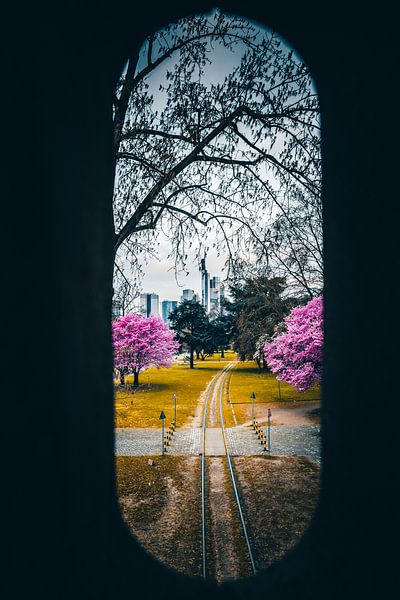 Rails in the direction of Frankfurt am Main by Fotos by Jan Wehnert