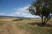 Endless views over the fields in Georgia