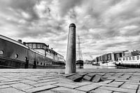 Amsterdamer Dammertje