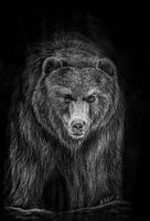 Das große Bärenposter