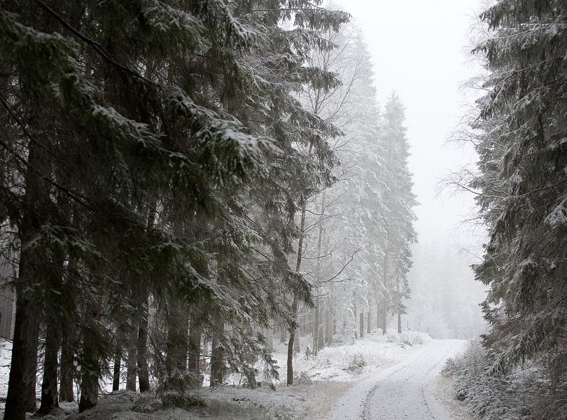 Stille weiße Welt: Schwedischer Winterwald im Schnee von Arthur van Iterson