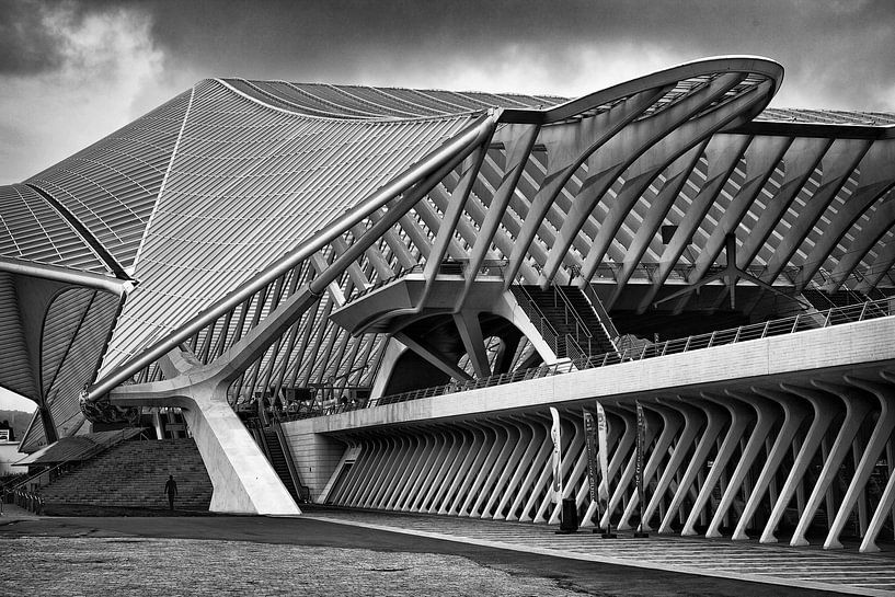 Gare des Guillemins @ Liège par Rob Boon
