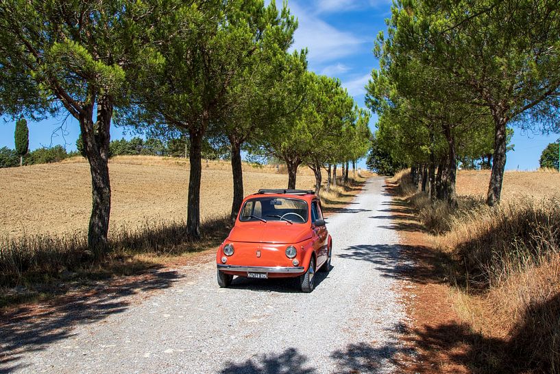 Fiat 500 in der Baumallee (1) von Jolanda van Eek en Ron de Jong