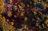 Außerirdisches Land