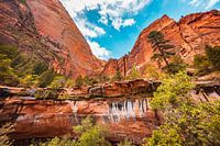 Zion National Park