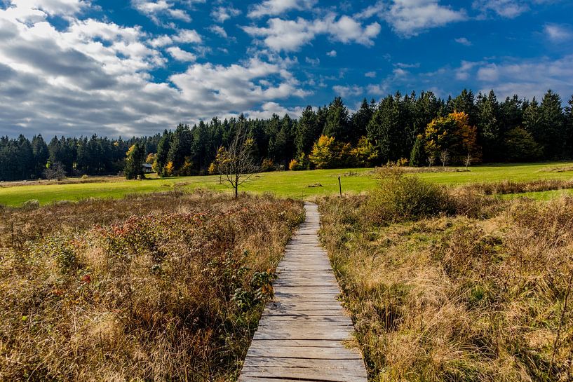 Herbstwanderung durch den Thüringer Wald von Oliver Hlavaty