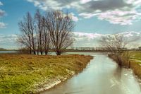 Uiterwaarden bij de Waal