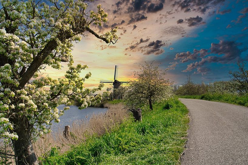 Droomvlucht par Tina Linssen