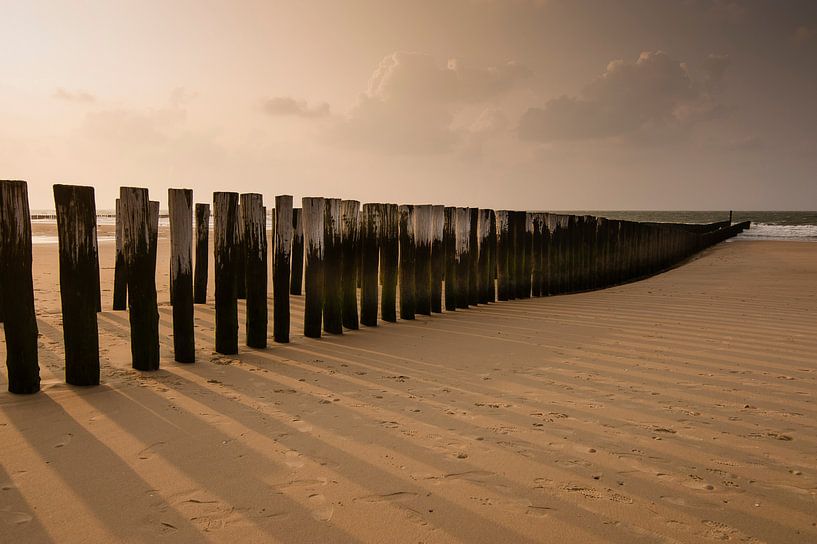 Golfbrekers en hun schaduw van Marianne Rouwendal