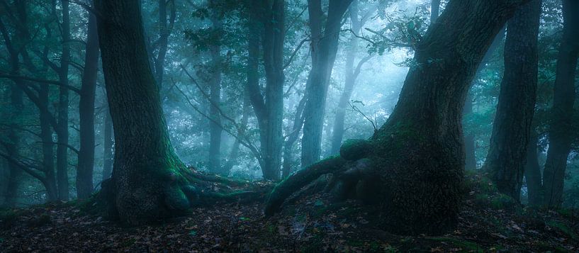 Conversations mystérieuses par Jeroen Lagerwerf