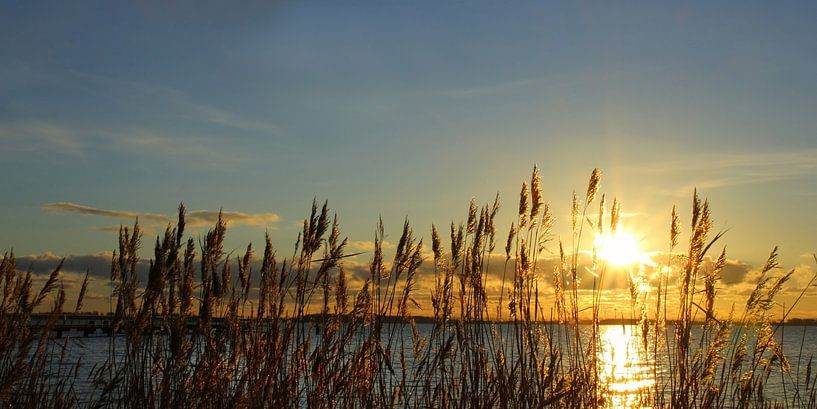 Wintersonne von Ostsee Bilder