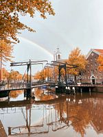 Herbstliches Schiedam
