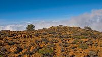 Above the clouds - rocky highlands in Teide National Parkk, Tenerife