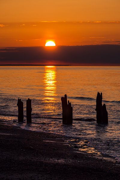 Buhnen an der Küste der Ostsee bei Kühlungsborn von Rico Ködder