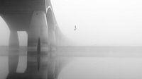 Le pont municipal De Oversteek dans le brouillard