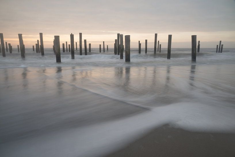 Village de palmiers près de Petten par Wiel Arets
