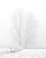 Boom in sneeuwlandschap