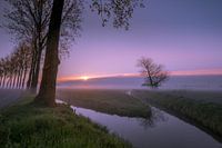 Paysage de polders dans la Betuwe
