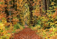 Landgut Bleijenbeek - Afferden