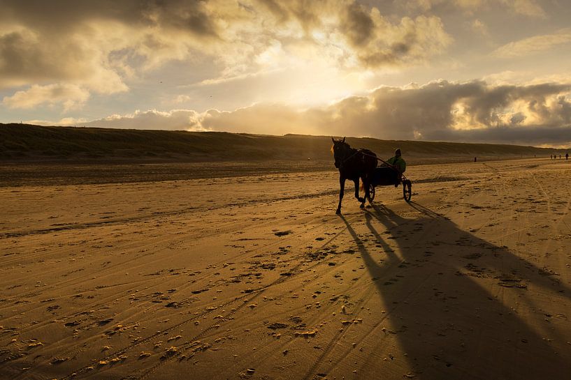 Strandlandschaft mit Sulky in Egmond von Marianne van der Zee