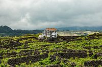 Archipel des Açores, Terceira, de magnifiques îles volcaniques dans l'océan Atlantique.