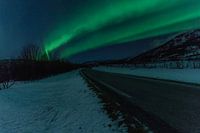 Nordlicht im Norden Norwegens