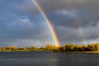 Prachtige regenboog met zonlicht op de bomen