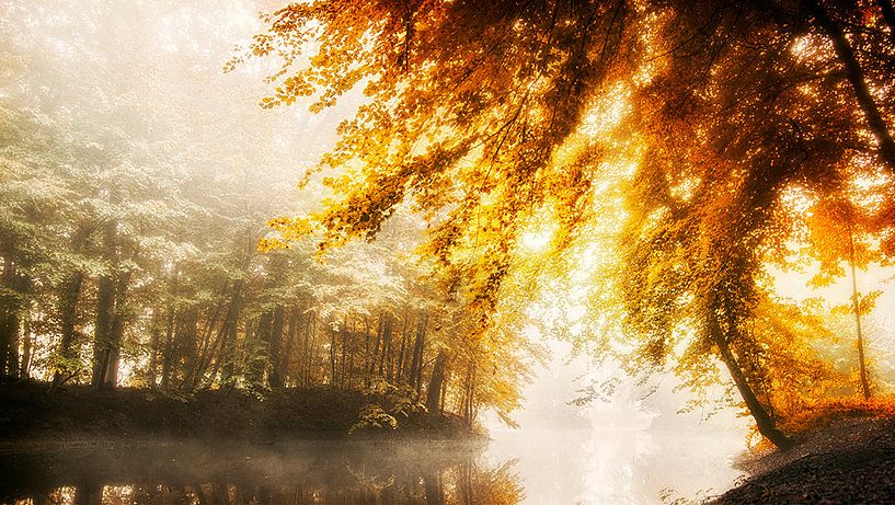 smoke on the water by bob van den berg