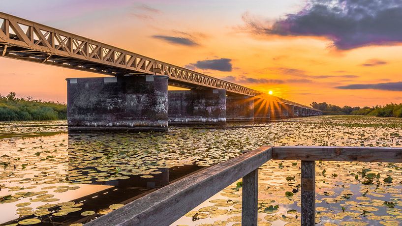 pont ferroviaire abandonné par Dutch Art Works