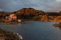 Lofoten Das Haus am See