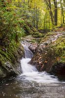 waterval in de Ardennen