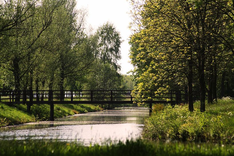 Bridge over troubled water  von Peter Hartman